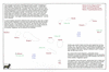 rog08 tuamotus_thumb.gif